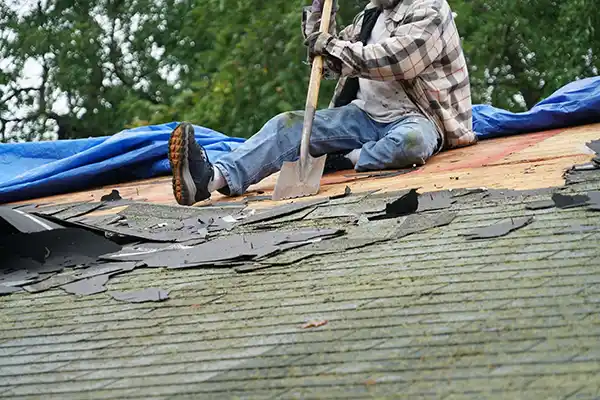 Removing old shingles with shovel